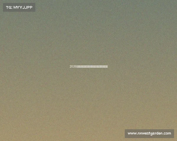 2026世界杯维语版全程精彩赛事解析与球迷互动指南